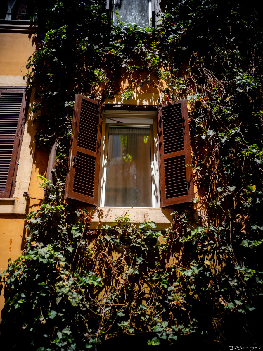 Photos from a trip through Italy in Summer of 2023. Locations include Rome, Florence, Tuscany, Castello di Bossi in Chianti, Siena, San Gimignano, Sirmione on Lake Garda, Bologna, Gudon, Italian Dolomites, Seceda, Cadini di Misurina, and Venice.